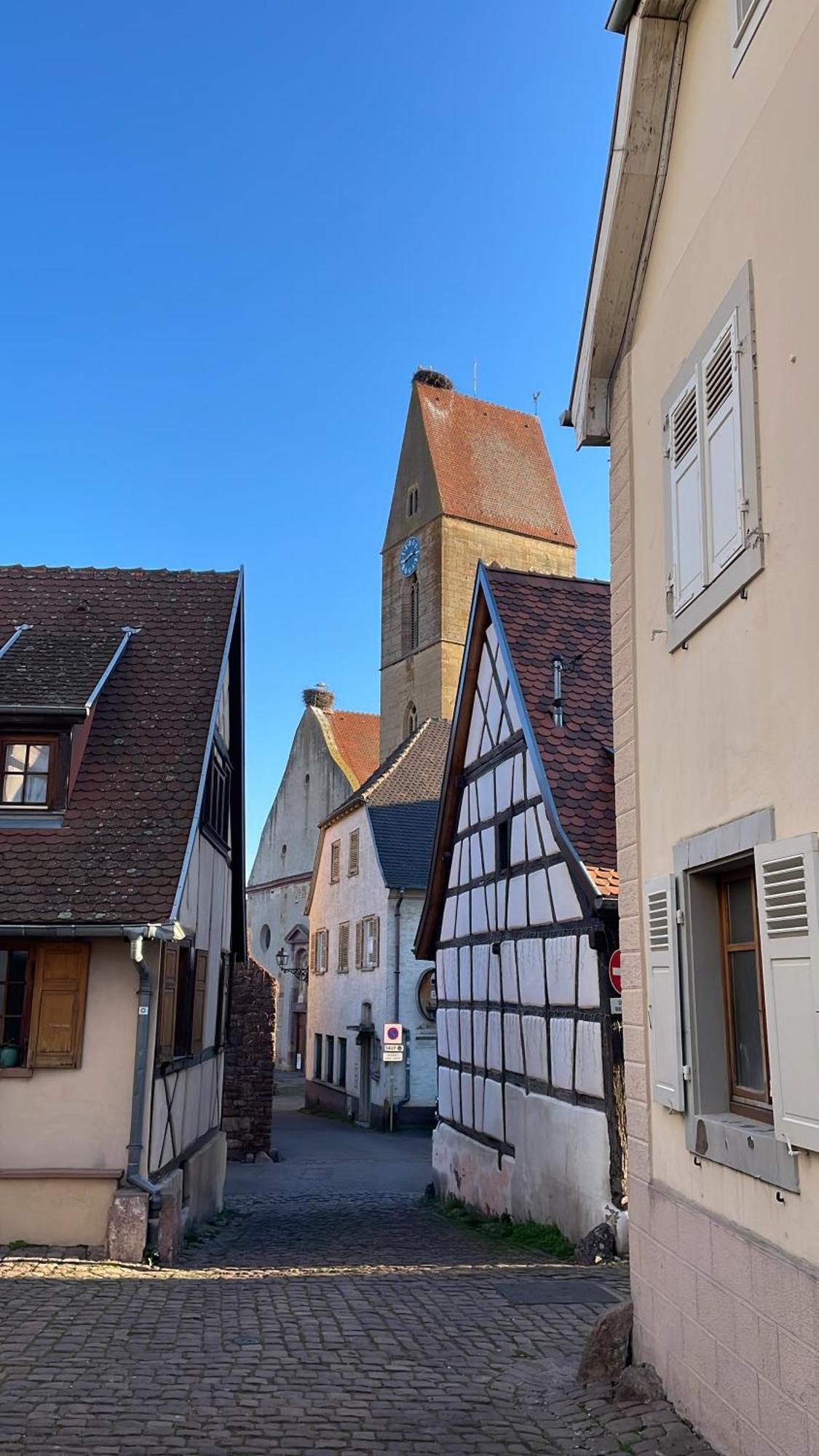 Appartement Le Ch'Ti Alsacien Eguisheim Dış mekan fotoğraf