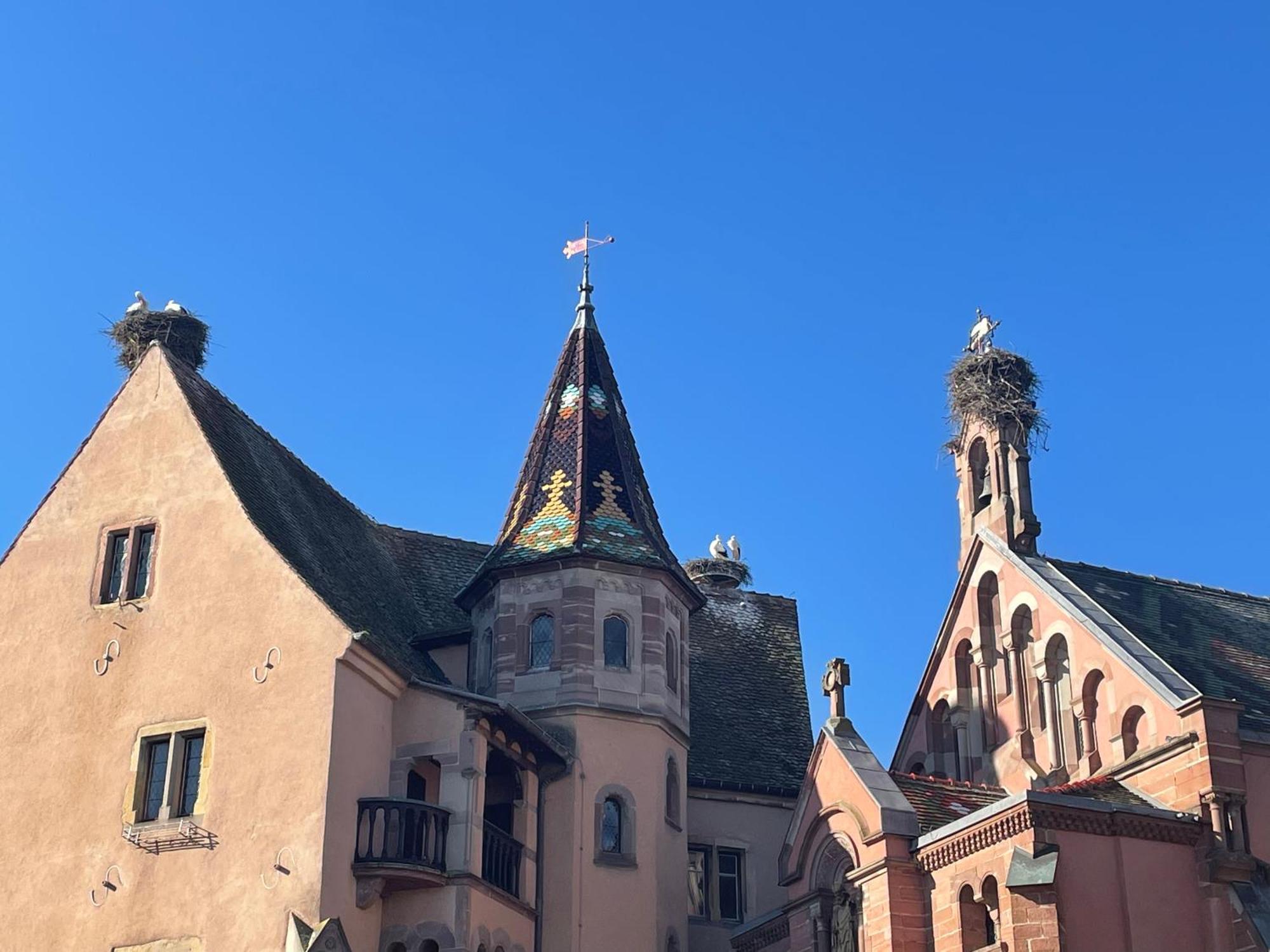 Appartement Le Ch'Ti Alsacien Eguisheim Dış mekan fotoğraf